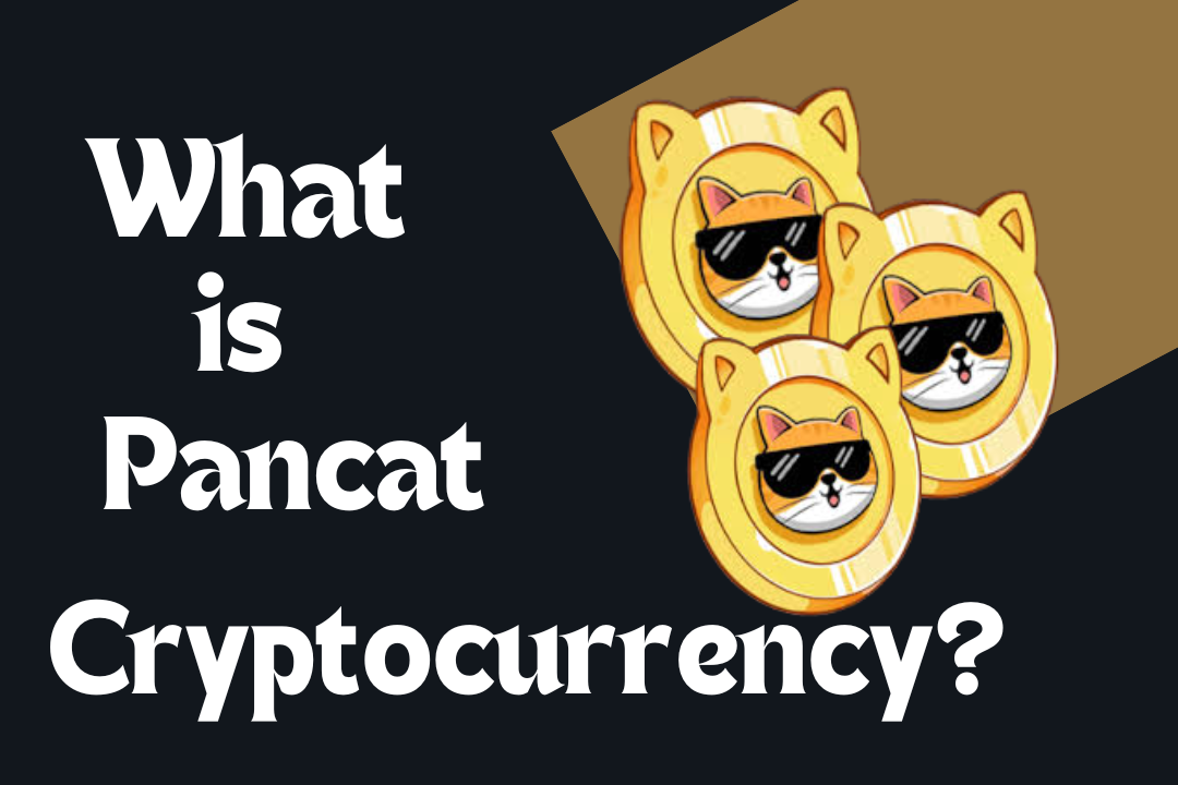 Buy Pancat Cryptocurrency